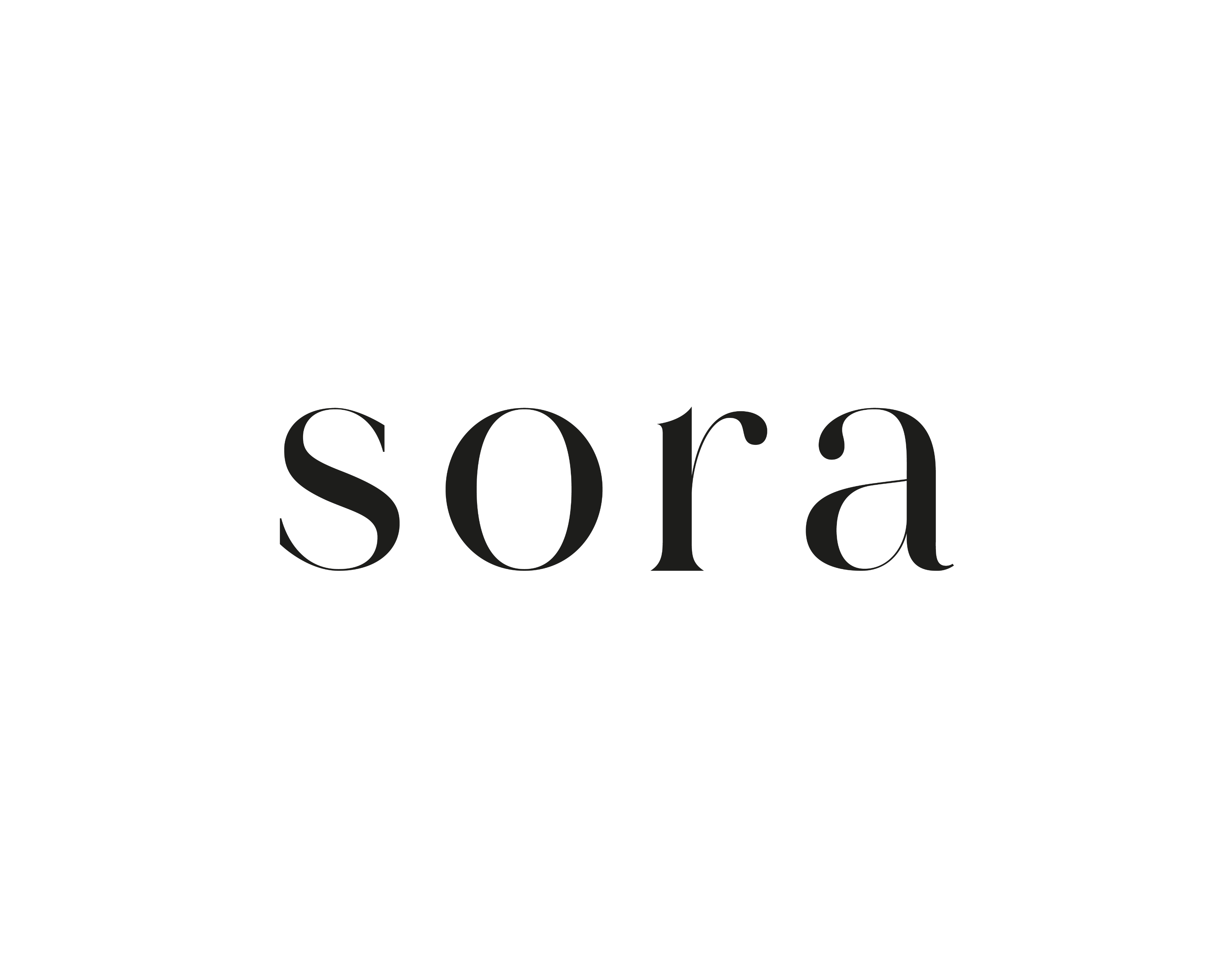 Sora Gallery Image 21
